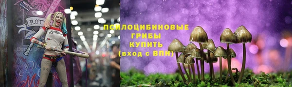 ГАЛЛЮЦИНОГЕННЫЕ ГРИБЫ Алексеевка