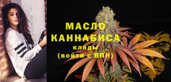 сатива Нязепетровск