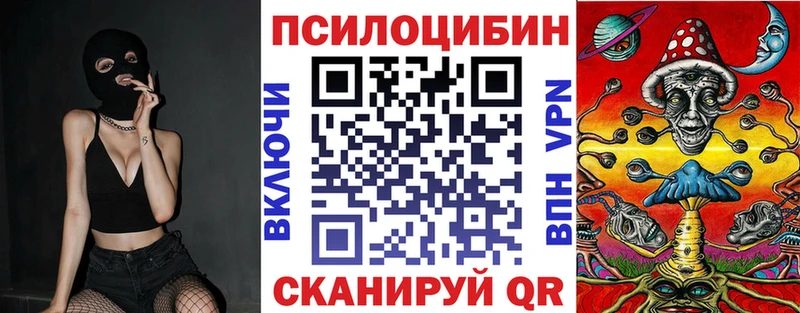 купить наркотик  Карпинск  Псилоцибиновые грибы мицелий 